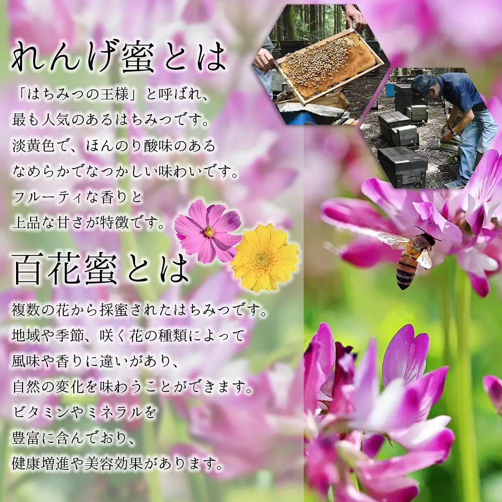 蜂蜜（レンゲ蜜１.２ｋｇ、百花蜜１.２ｋｇ）セット K2