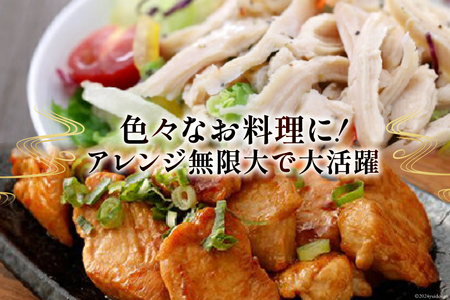 鶏肉 むね肉 宮崎県産 若鶏むね肉 1kg 6p 計6kg [九州児湯フーズ 宮崎県 美郷町 31ai0025]