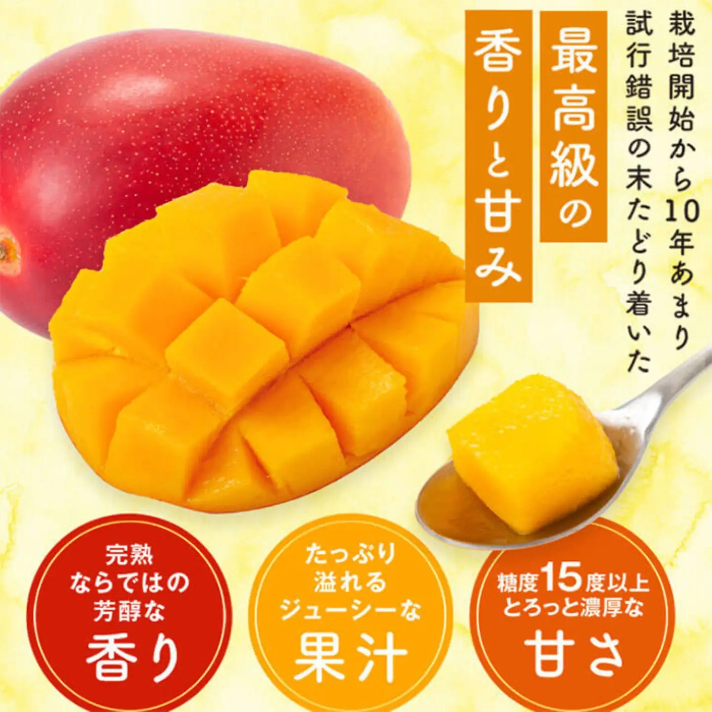 【B15002】肝付町産 完熟マンゴー ご褒美セット 約400~500g×2個【SHOWAマンゴー農園】