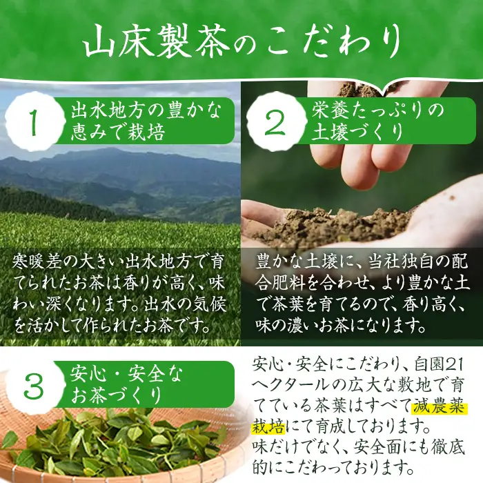 i001 出水銘茶セット(3種・各100g) お茶 緑茶 国産 日本茶 煎茶 かぶせ茶 紫尾 矢筈 愛宕 水出し ギフト プレゼント【山床製茶】