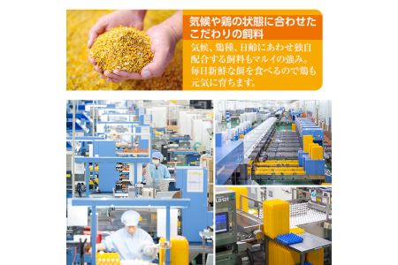 i020 鹿児島県産 赤たまご マルイの輪 卵 36個 (6個入り×6パック)【マルイ食品】