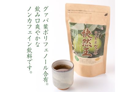 国内産100% 出水農産グァバ茶 快然王 30包×4袋 【出水酒造 izumi-syuzou】 i184