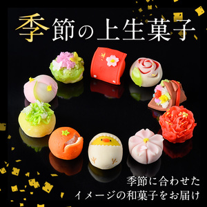 季節の上生菓子セット 10個入り 和菓子 和スイーツ 【リッチモン松元】 i246