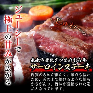 i315 ≪鹿児島県産黒毛和牛≫出水市産北さつまのむら牛 黒毛和牛サーロインステーキ(計600g・200g×3枚)肉質のきめが細かく旨味の凝縮された牛肉 牛肉 肉 黒毛和牛 国産 サーロイン ステーキ 旨み 絶品 冷凍【吉澤商店】