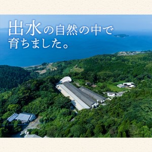 恵み ウインナー (業務用) 1kg×2P 【ナンチク】 i329