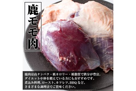 i333 《毎月数量限定》鹿児島県出水市産大幸鹿肉のモモブロック＜計1～1.5kg＞BBQにも大活躍の鹿肉！煮込みやカツレツなどのジビエ料理に！高タンパク・低カロリー・低脂質で鉄分豊富なのでダイエットや体を鍛えている方にもおすすめ♪  肉 鹿肉 ジビエ モモ肉 ブロック 高タンパク 低カロリー 低脂質 鉄分豊富 ダイエット 焼肉 BBQ アウトドア キャンプ 煮込み料理 冷凍 【大幸】