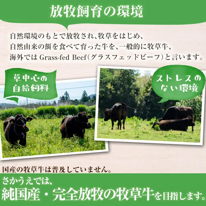 国産黒毛和牛 牧草育ちの里山牛100%使用！手作りハンバーグ 1kg (100g×10個） 黒毛和牛 和牛 肉 牛肉 国産 ハンバーグ 100% 小分け 惣菜 a5-276