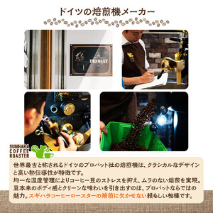 ドリップバッグコーヒー 3種 50杯セット コーヒー ドリップ【 珈琲 ドリップバッグコーヒー 大阪府 門真市 】