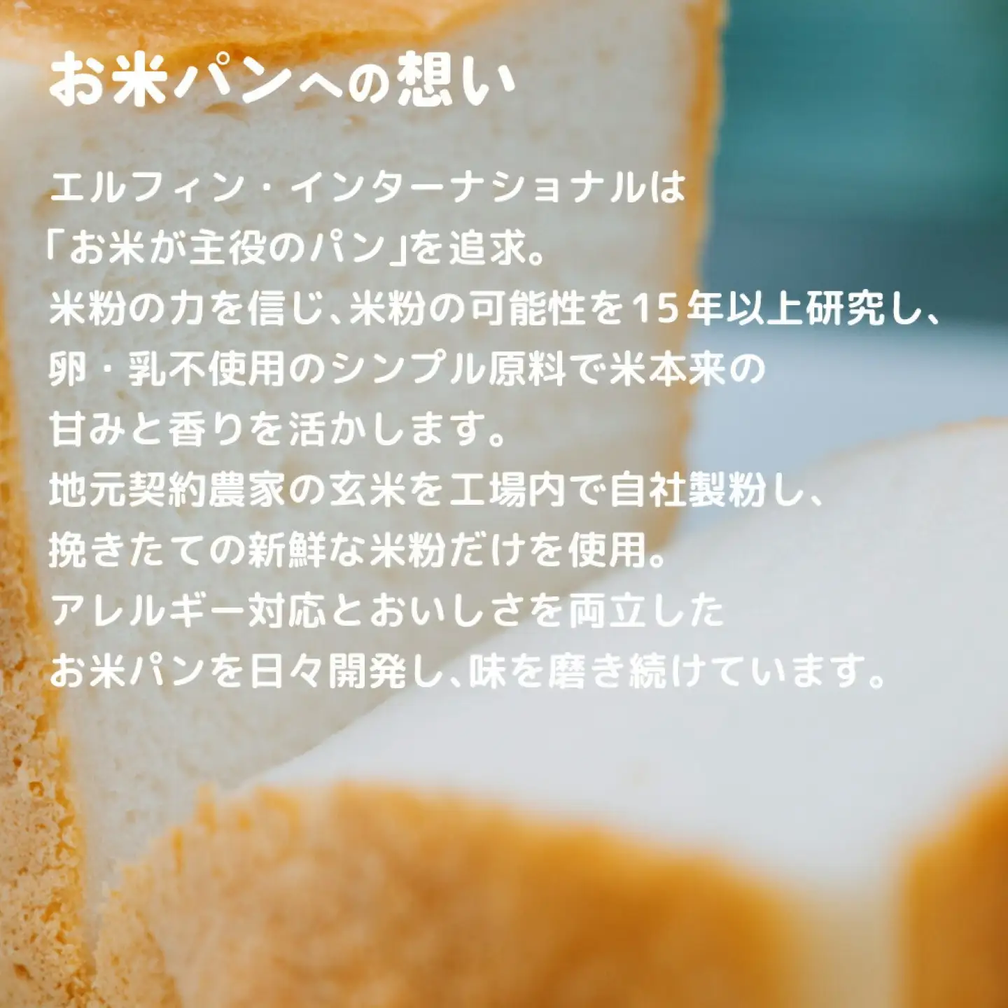 【災害備蓄用】　アレルギー特定原材料２８品目使用無し　米粉で作った乾パン3セット ｜パンパンパンパン　　