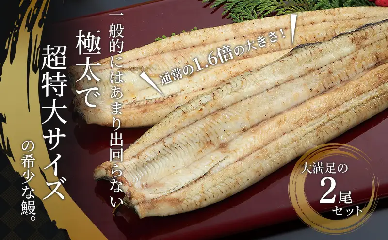 国産 白焼き シリーズ累計5万尾 うなぎ 2尾 400g 浜名湖産 鰻 素焼き 高評価 冷凍 浜松