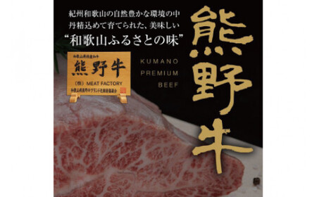 特選黒毛和牛 熊野牛 ミスジブロック　約500g【mtf414A】