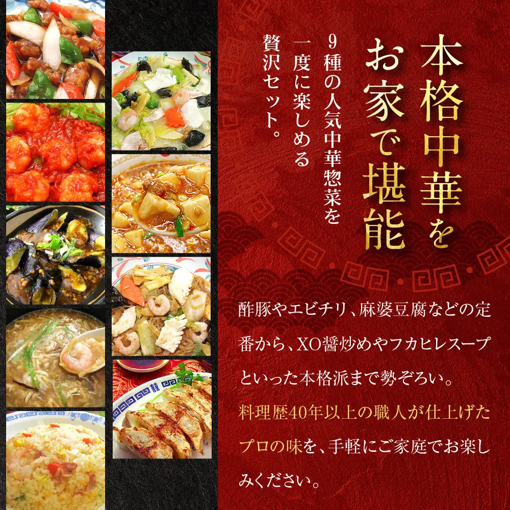 【チャイナノーヴァ】中華料理９種９品セット［ 京都 レビュー高評価 本格中華 台湾出身シェフ 人気 おすすめ 中華 中華料理 点心 お惣菜 簡単 時短 お取り寄せ 通販 送料無料 ふるさと納税 ］