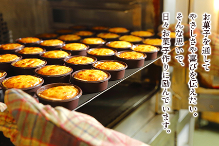 エッグタルト10個セット AR100