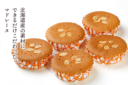 マドレーヌ15個セット AR101