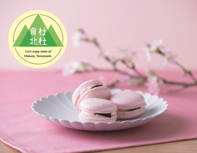 【食杜北杜】（北杜高校生×手づくり和･洋菓子秋月コラボ商品）『北杜市産素材のロールケーキ＆マカロンのセット』 [h019]