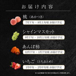 年中受付 福島県産 極・伊達なフルーツ定期便 全4回 桃 あかつき シャインマスカット あんぽ柿 いちご とちおとめ 定期便 伊達の桃 もも モモ 果物 くだもの フルーツ 国産 名産 食品  F21C-246