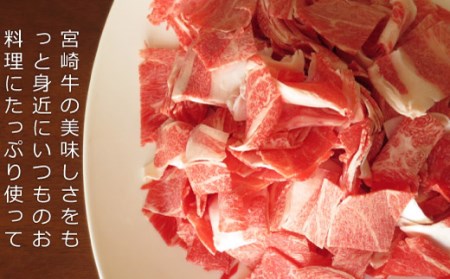 ＜宮崎牛＞牛こま肉 600g（300g×2パック）【B447-60】	