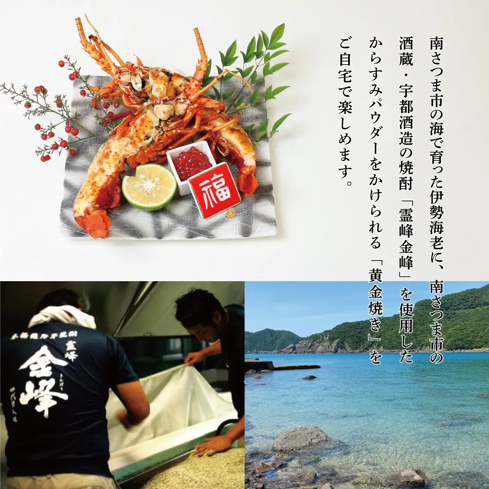 伊勢海老の黄金からすみ焼き 約500g 自家製 からすみパウダー 海鮮 えび 冷凍 ギフト のし 南さつま市