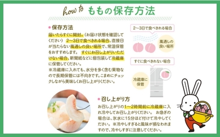 No.2041 【2026年発送 先行予約】福島のもも　あかつき　約5kg