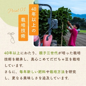 【令和8年産先行予約】だだちゃ豆 (早生甘露) 　1.5kg (500g×3袋) 　だだちゃ喜左衛門株式会社