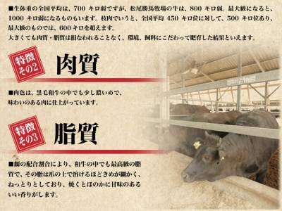 伊万里牛 ぎゅ～と 定期便 スペシャル 3回便 すき焼き ステーキ 焼肉 999-J319