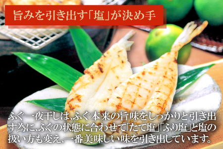 鮮度と塩にこだわり！ ふぐ一夜干し （3尾×2袋）【ふぐ 干物 フグ 3尾 2袋 合計6尾 一夜干し 一夜干 新鮮 素焼き 天ぷら 唐揚げ おつまみ 河豚 骨なし 肉厚 贈答 ギフト 父の日 母の日】 