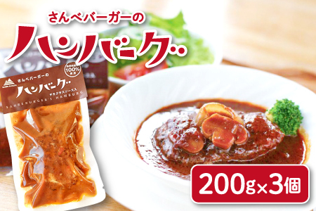 さんべバーガーのこだわりハンバーグセット（配達指定日不可）【ハンバーグ 200g 3個 ハンバーグステーキ 170g 3個 手作り デミソース 簡単 レンジ 湯せん 人気 セット 詰め合わせ 冷凍】