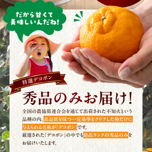BD6004n_デコポン 秀品 約 5kg 18 ～ 24玉 不知火 甘味 濃厚 ジューシー 甘い 果汁 大きい果肉 薄皮 高品質 糖度 13度以上 柑橘 フルーツ 果物 食品 国産 有田産 和歌山県 湯浅町 マルナガ お取り寄せ 送料無料