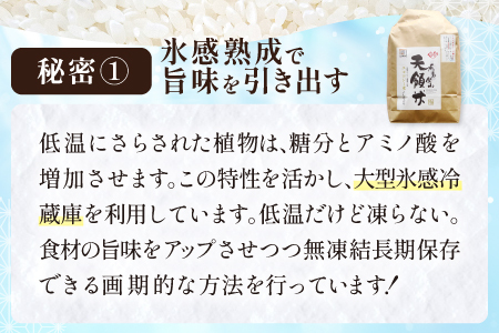 石見銀山天領米（氷感熟成エコロジー米こしひかり）5kg【コシヒカリ 5kg 島根県産 大田市産 米 エコロジー米 氷感熟成 減農薬 減化学肥料】