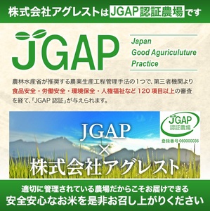 SC0660　令和7年産【無洗米】はえぬき　10kg(5kg×2袋) 農家直送『いいあん米』 AG