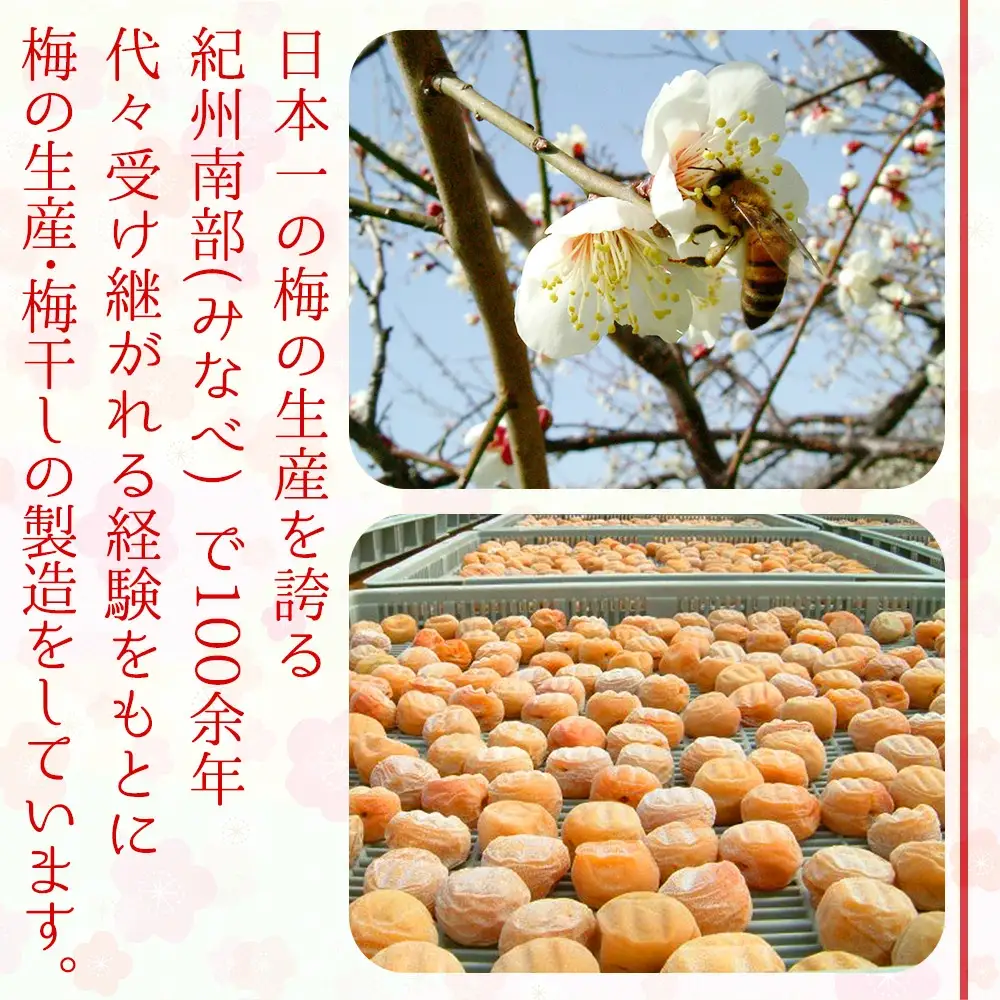 有機JAS認証　高田の梅「昔ながらのしそ梅干」塩分約18％（400ｇ）　tkdkaen001A【tkdkaen001A】