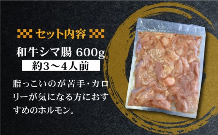 ホルモン専門店の和牛シマ腸 600g（3?4人前）[FAC008]