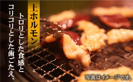 【味付】【大容量】プリプリで味わい深い！ホルモン専門店のホルモンセット900g（丸腸・上ホルモン・シマ腸各300g）【三田川ホルモン専門店】吉野ヶ里町 [FAC010]