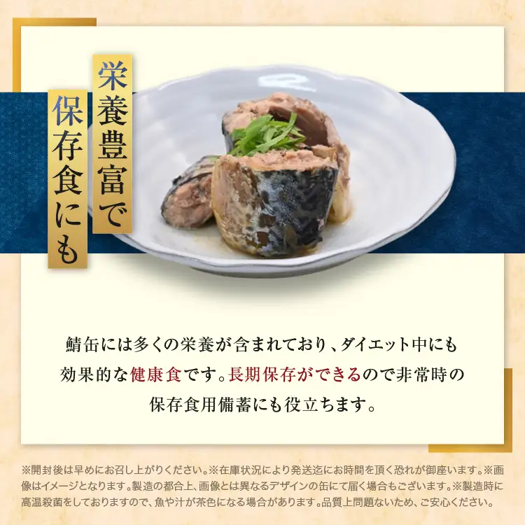 さば 缶詰 水煮 24缶 国産 さば缶 _AL002