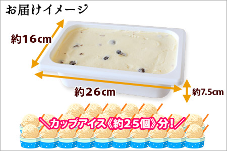 605.アイスクリーム ラムレーズン ジェラート 業務用 2リットル 2L アイス 大容量 手作り 北海道 弟子屈町