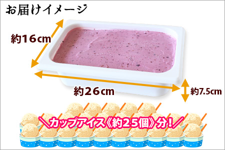 607.アイスクリーム ハスカップ ジェラート 業務用 2リットル 2L アイス 大容量  手作り 北海道 弟子屈町