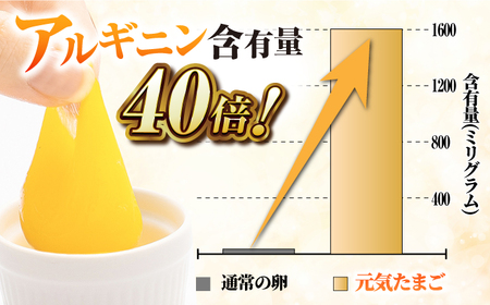 【全3回定期便】アルギニン 元気たまご 20個【浅田峠自然塾】[EA02] 平飼い卵 放し飼い卵 たまご