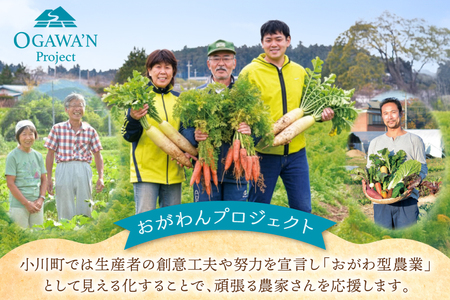 OGAWA'N 野菜 セット 定期便 6回 [JA埼玉中央 埼玉県 小川町 137]