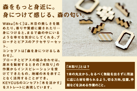 熊本県 御船町 Waku（わく）ひかり ブローチ ピアス KEYCUSプロジェクト事務局 國武林業《30日以内に出荷予定(土日祝除く)》