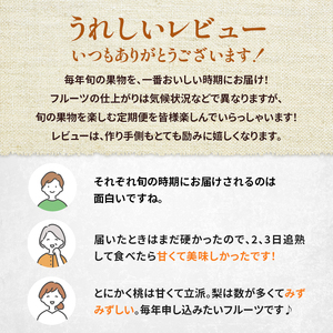 定期便 2回 先行予約 【 桃 白桃 6～7月頃 梨 8～10月頃 】白鳳 特製桃源郷錦 約1kg、清流錦梨 約5kg もも モモ なし フルーツ 果物 デザート お楽しみ 2026年発送 配送不可:離島 