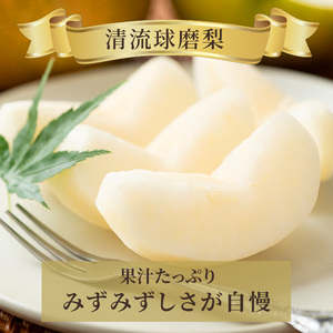 定期便 2回 先行予約 梨 清流錦 豊水 あきづき 新高 かおり 8月 5kg 9月 3kg フルーツ なし ナシ 果物 デザート お楽しみ 2026年発送 配送不可:離島 