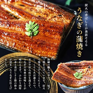 特選うなぎの蒲焼き２尾＋白焼き１尾入り（特製タレ付き） ヤマシン