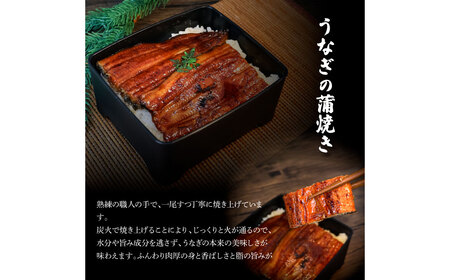 特選うなぎの蒲焼き６尾（特製タレ付き） 130g×6尾 ヤマシン