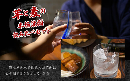 【定期便・全6回】南九州文化の本格焼酎お手軽紙パック！思う存分、晩酌用本格焼酎セット(2銘柄・各1800ml×3本、ひむか寿 赤芋仕込み・麦作鬼ころし)×6回_K020-T001