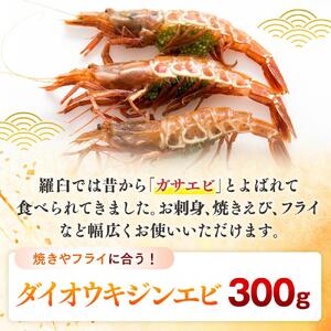 ダイオウキジンエビ 300g　｜エビ　羅臼　北海道