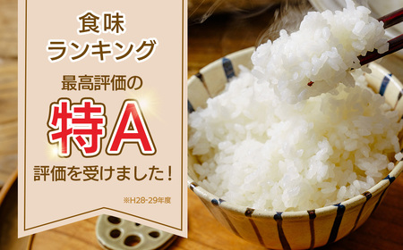 【専用】はるみ米　10キロ 秦野のお米「はるみ」10kg ｜令和7年産米 | 神奈川県秦野市 | ふるさと