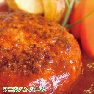 a13-008　クロコダイル カレー ハンバーグ 動物園 イズー