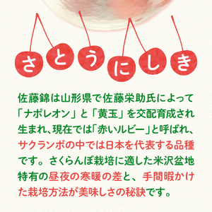 【先行予約】 令和8年産 さくらんぼ 佐藤錦 500g ( バラ詰め ) 2026年6月上旬～下旬頃お届け予定 山形県 米沢市
