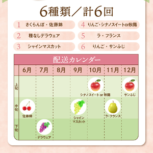 【先行予約】 令和8年産 旬のフルーツ 6回 定期便