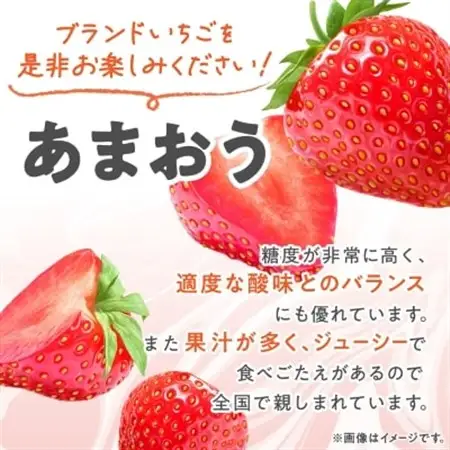 【数量限定】2027年2月より順次発送 福岡県産あまおう4パック_いちご 苺 イチゴ フルーツ 果物 くだもの ふるーつ 青果 産直 産地直送 あまおう 国産 甘い 人気 ギフト プレゼント_【配送不可地域：離島】【1211836】